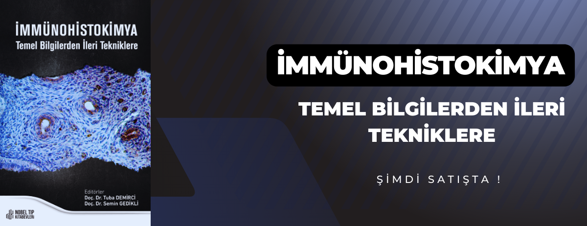 immünohistok 