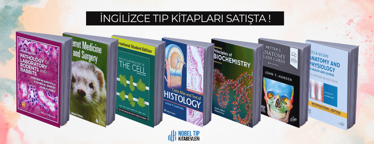 ingilizce