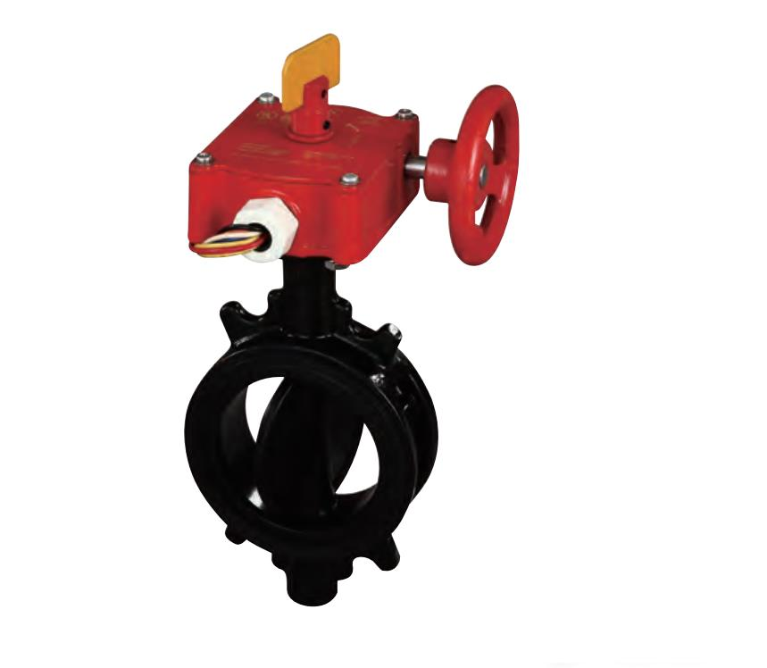 GLOBL SAFETY İZLENBLR. KELEBK VANA WFER