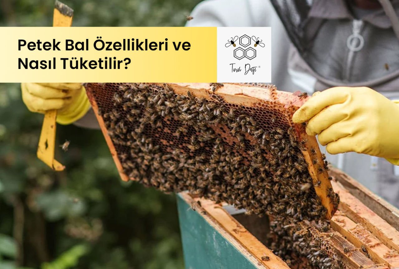 Petek Balı Özellikleri ve Nasıl Tüketilir?