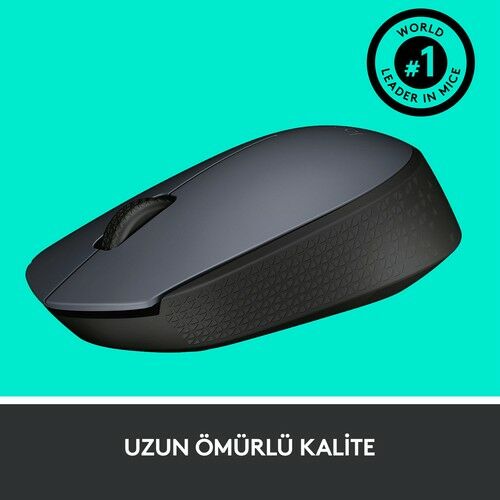 Logitech M170 910-004642 Wireless Optik Mouse