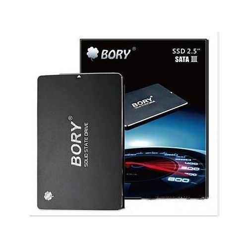 BORY 256 GB SATA3 R500-C256G SSD 550/510 MBS (3 YIL GARANTİLİ)