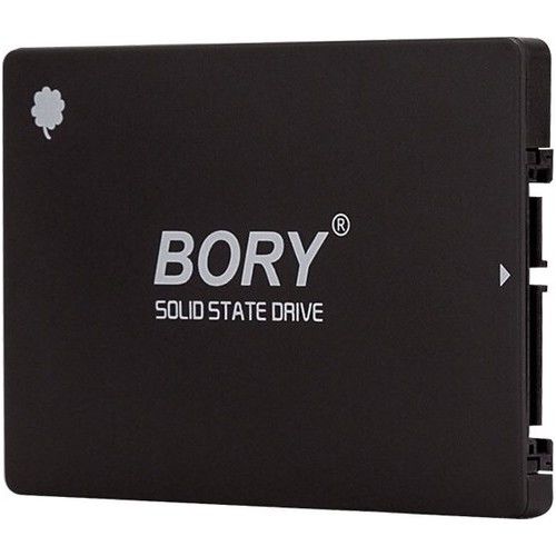 BORY 256 GB SATA3 R500-C256G SSD 550/510 MBS (3 YIL GARANTİLİ)