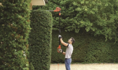 Black&Decker PH5551 550W 51 cm 5 Açılı Çit Budama ve Kesme Makinası