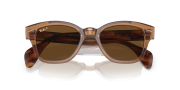 RAYBAN RB 0880S 6639 UNISEX GÜNEŞ GÖZLÜĞÜ