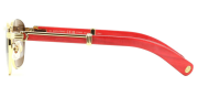 CARTIER CT0363 004 ERKEK GÜNEŞ GÖZLÜĞÜ