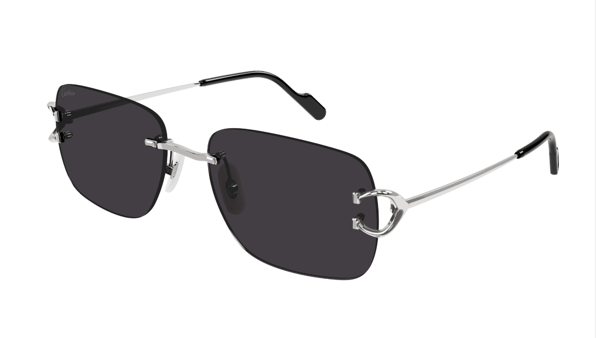 CT0330S 001 UNISEX GÜNEŞ GÖZLÜĞÜ