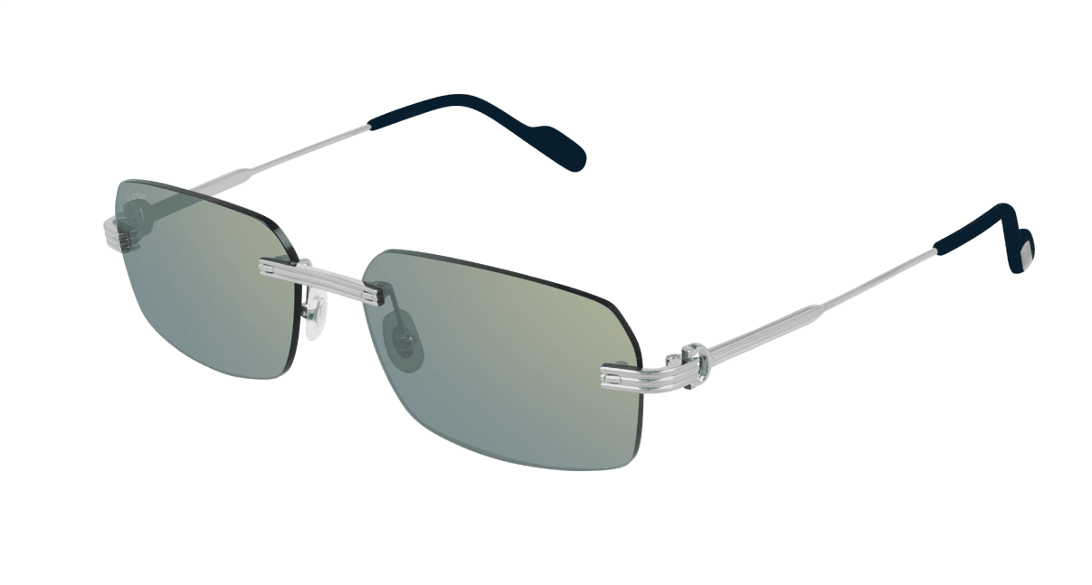 CT0271S 003 UNISEX GÜNEŞ GÖZLÜĞÜ