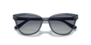 VOGUE 5496 27644L G UNISEX GÜNEŞ GÖZLÜĞÜ