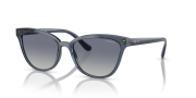 VOGUE 5496 27644L G UNISEX GÜNEŞ GÖZLÜĞÜ