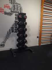 vertical dumbell standı