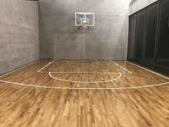 Basketbol Potası