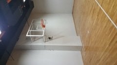 basketbol potası