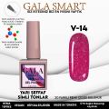 GALA SMART VİTRAJ KALICI OJE 10 ml V14