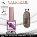 GALA SMART VİTRAJ KALICI OJE 10 ml V5