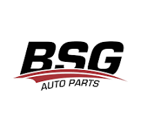BSG Motor Yağı
