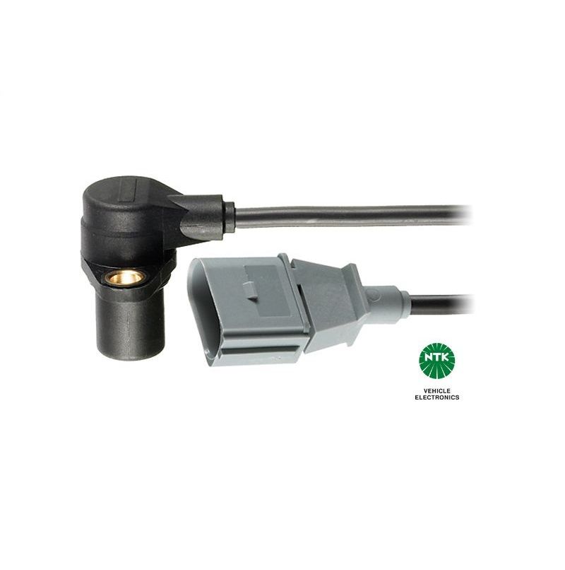 NGK 81307