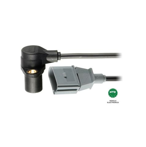 NGK 81307