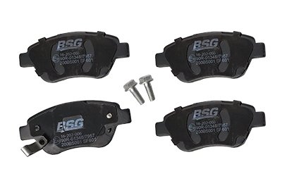 BSG 65-200-006