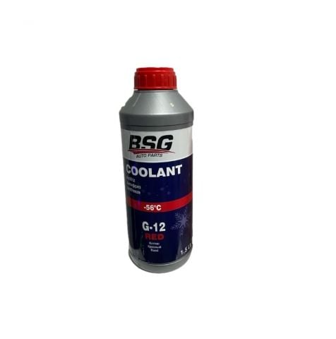 BSG 99-994-001