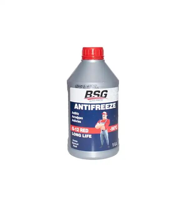 BSG 99-994-005