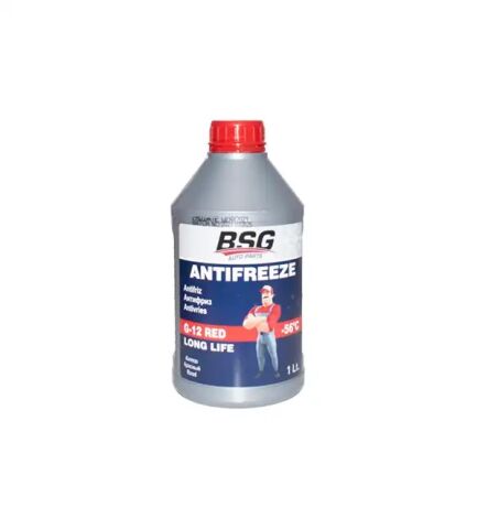 BSG 99-994-005