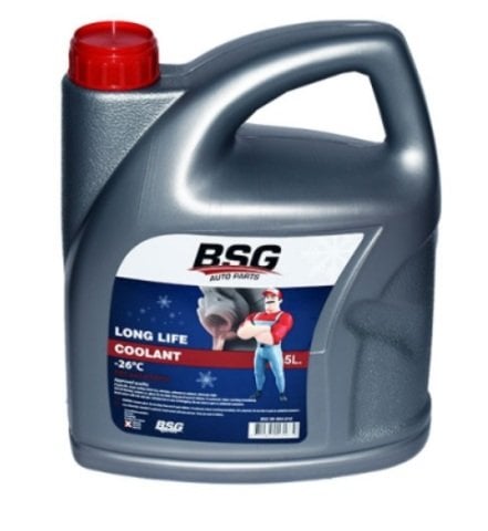BSG 99-994-010