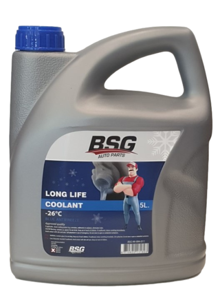 BSG 99-994-011
