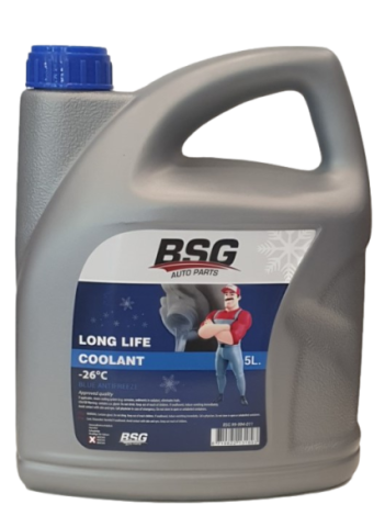BSG 99-994-011