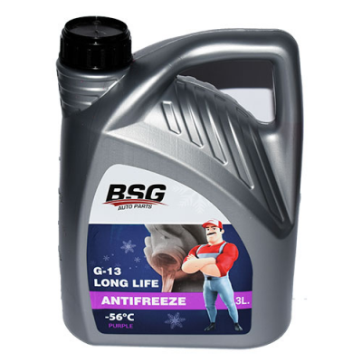 BSG 99-994-016