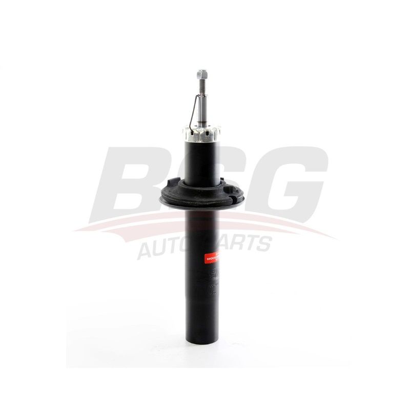 BSG 11-300-001