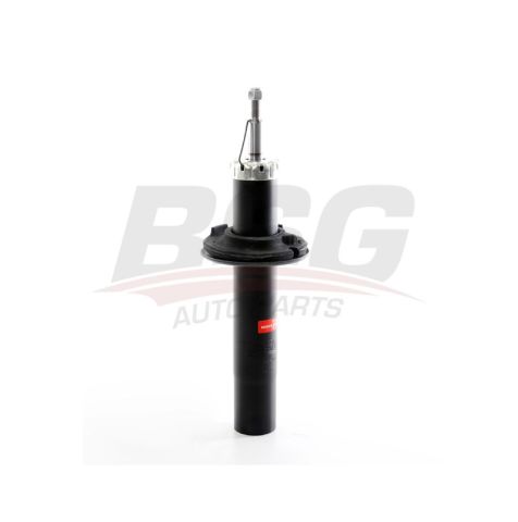 BSG 11-300-001
