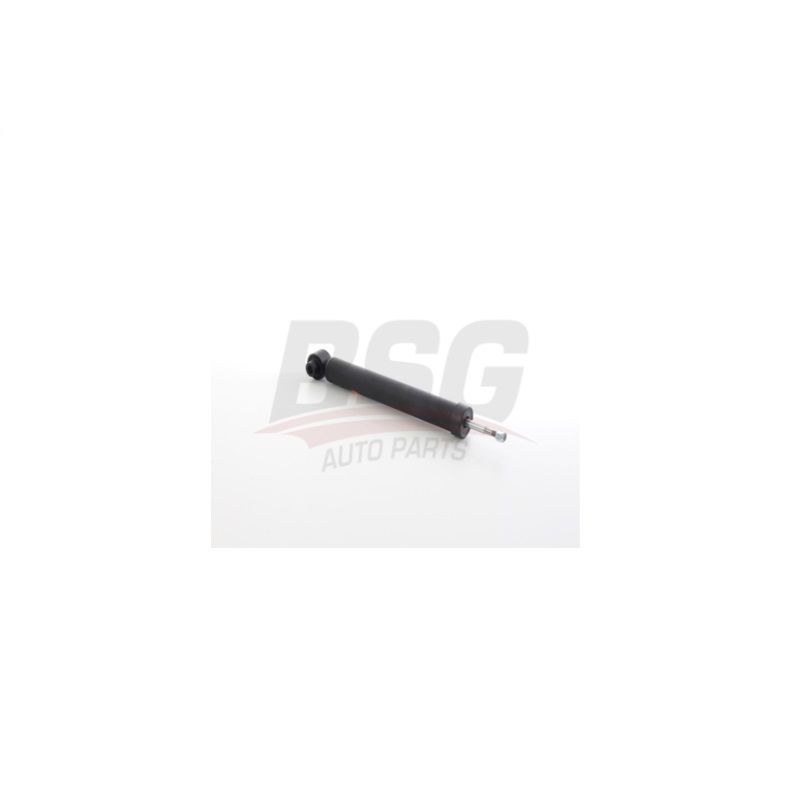 BSG 11-300-006