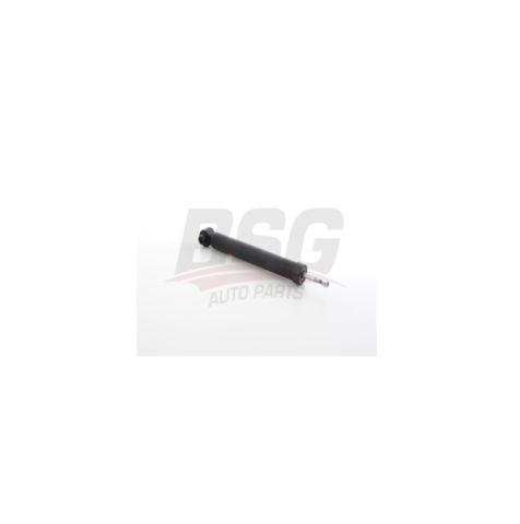 BSG 11-300-006