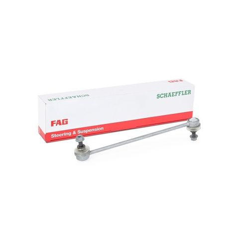 FAG 818 0369 10