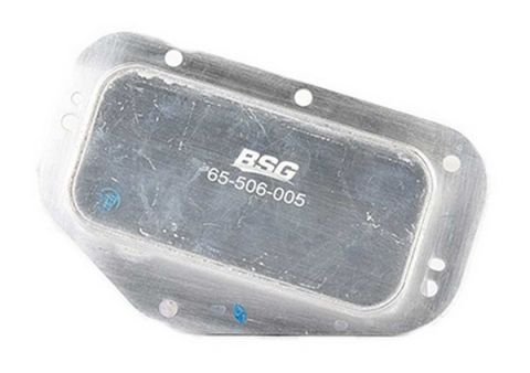 BSG 65-506-005