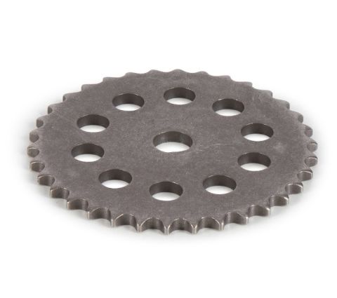 55573788