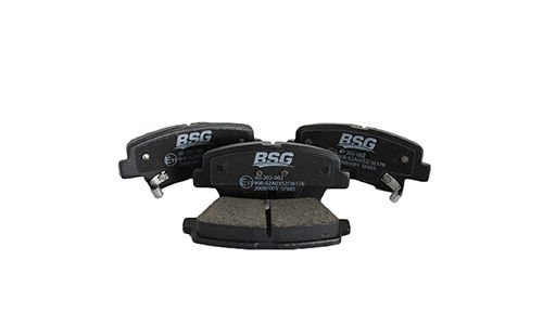 BSG 40-200-005