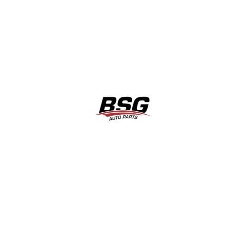 BSG 75-400-010