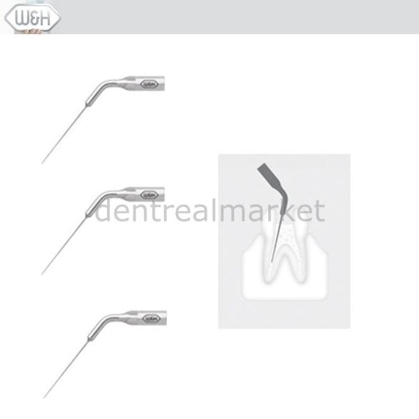 Kavitron-Scaler  Uçları- Endo Uç Set