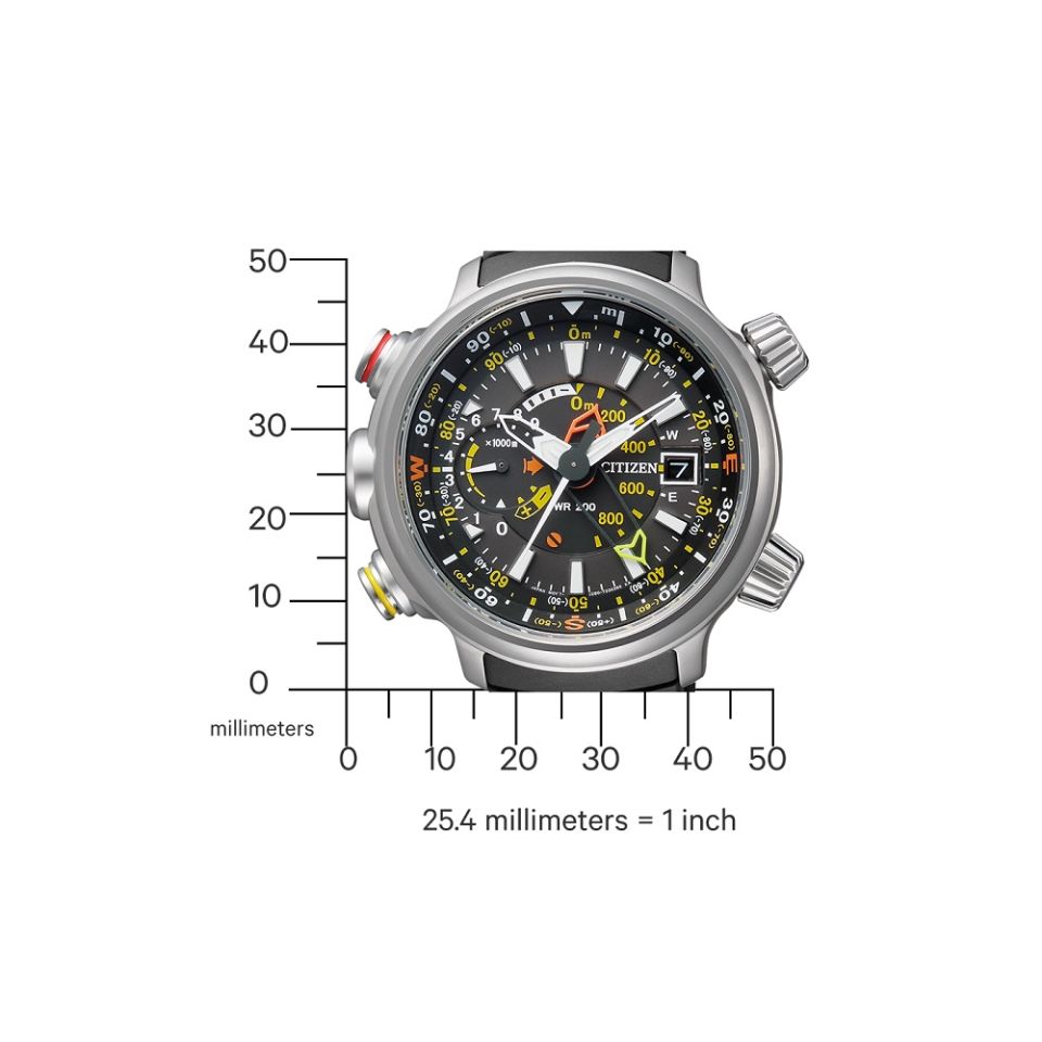 Citizen Promaster BN4021-02E Land Altichron Erkek Kol Saati