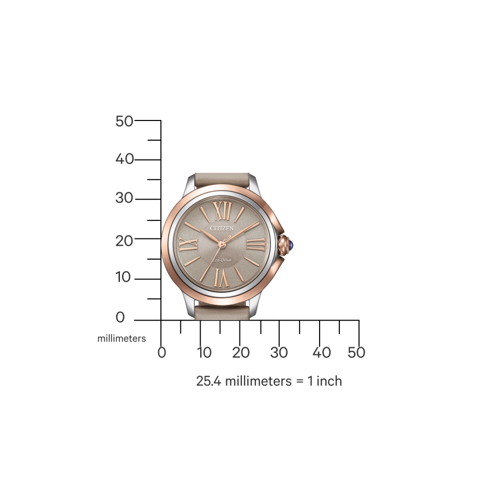 Citizen EM1166-01Z Kadın Kol Saati