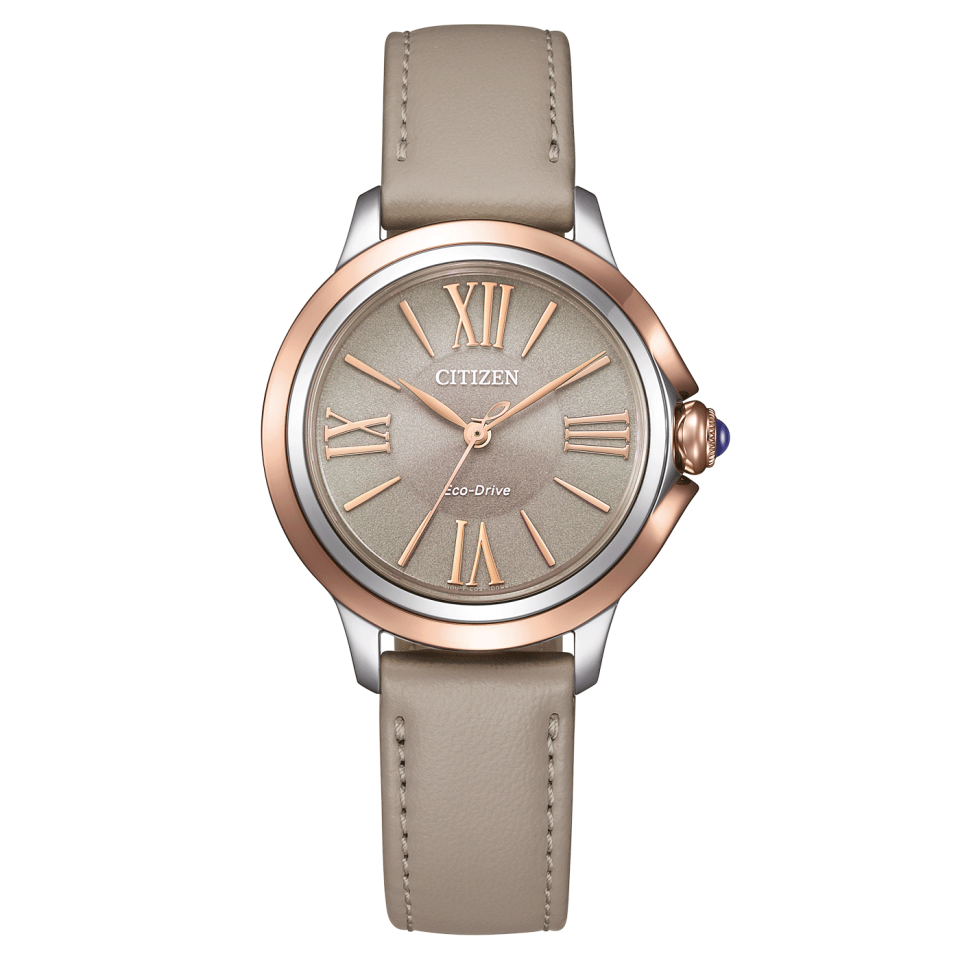 Citizen EM1166-01Z Kadın Kol Saati