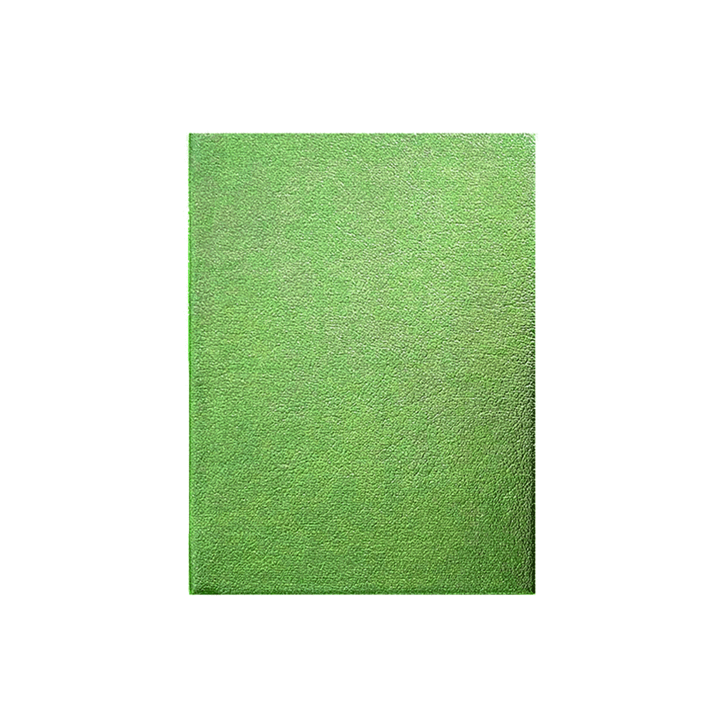 Lizy Collection Ciltli Mat Yeşil Deri Kapak 168 Yaprak 14*20 Çizgili Defter