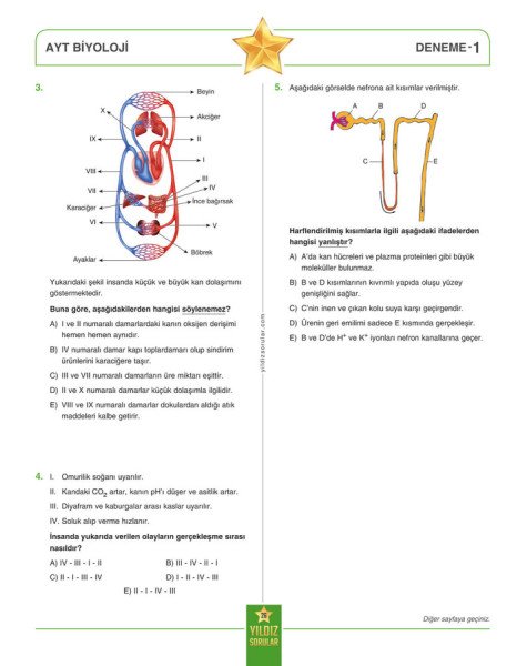 Yıldız Sorular TYT AYT Biyoloji 8+8 Deneme