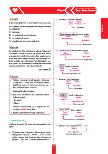 Sınav Yayınları 8. Sınıf LGS Tüm Dersler Konu Anlatımlı