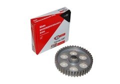 MOTOR-EKSANTRİK DİŞLİ OAT SAMARA (48)