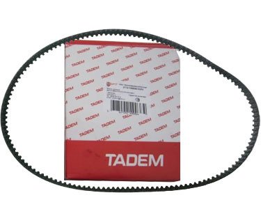 MOTOR-EKSANTRİK KAYIŞI TADEM 16V VEGA (51)