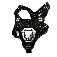 Gladyatör Deri Köpek Göğüs Tasması