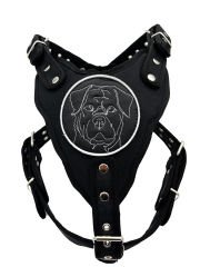 Siyah Rottweiler Köpek Göğüs Tasması